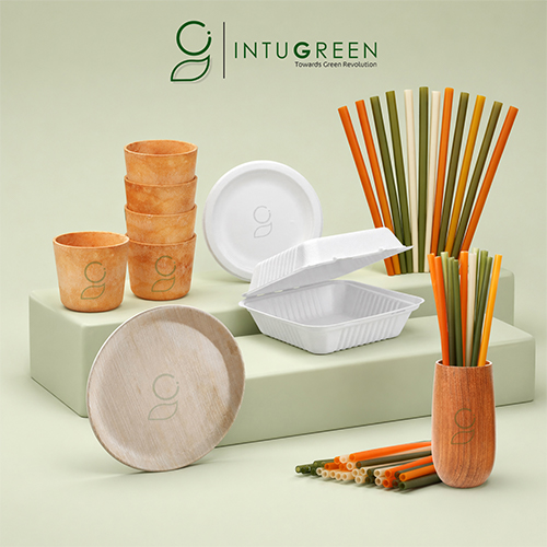 Sustainable Cafe Supply Dubai